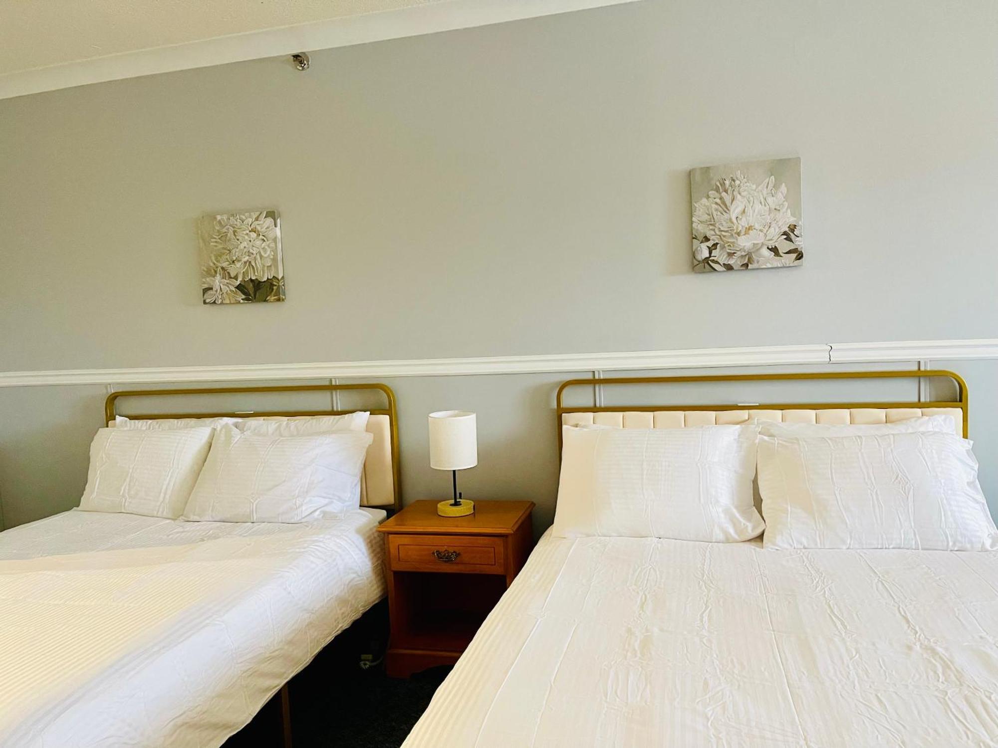 Elite Hotel -Downtown Center- "Ski & Northern Light Tour" "Hot Spring Tour "Long-Term Stay" Whitehorse Exterior foto