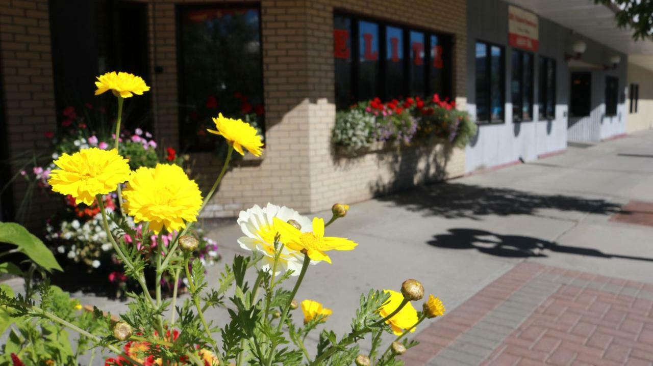 Elite Hotel -Downtown Center- "Ski & Northern Light Tour" "Hot Spring Tour "Long-Term Stay" Whitehorse Exterior foto